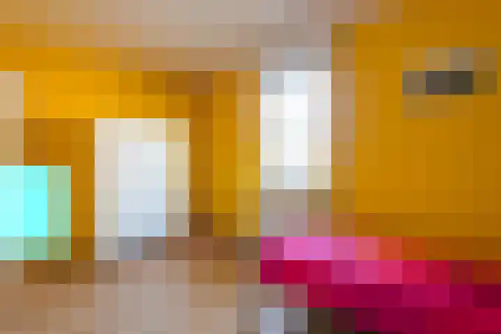 Pastoor Albertsstraat 10 Puth thumbnail 53