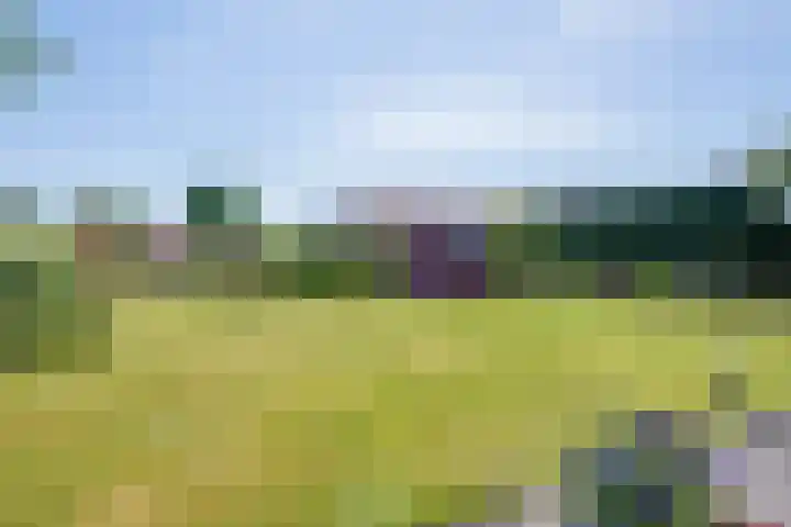Pastoor Albertsstraat 10 Puth thumbnail 6