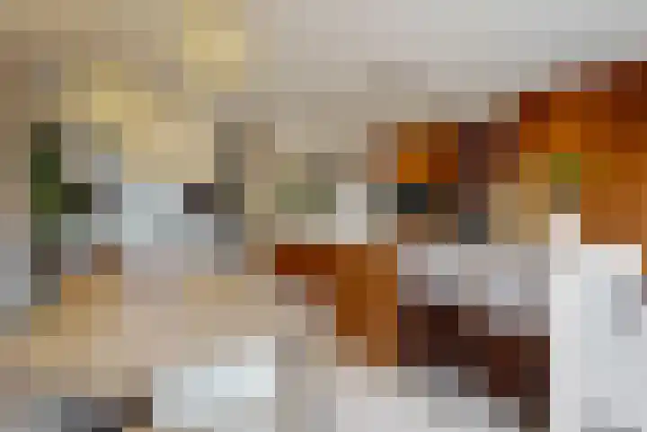 Pastoor Ammerlaanstraat 5 Blokker thumbnail 15