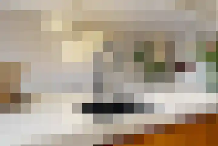 Pastoor Ammerlaanstraat 5 Blokker thumbnail 18