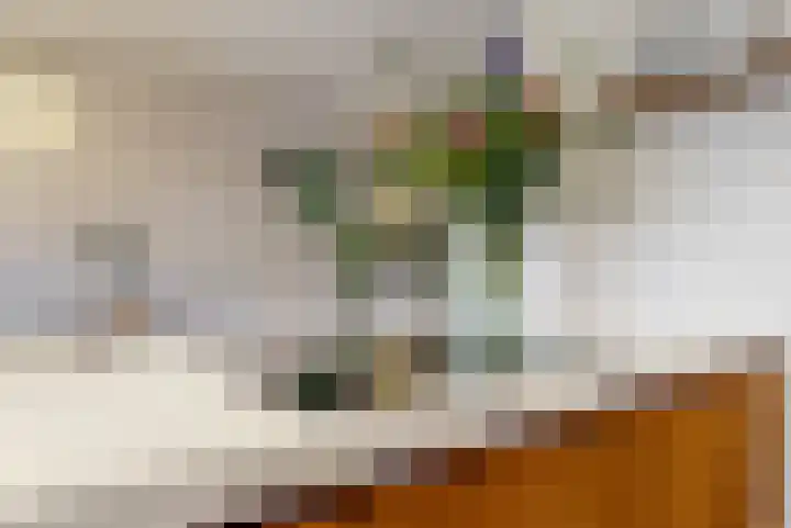 Pastoor Ammerlaanstraat 5 Blokker thumbnail 19