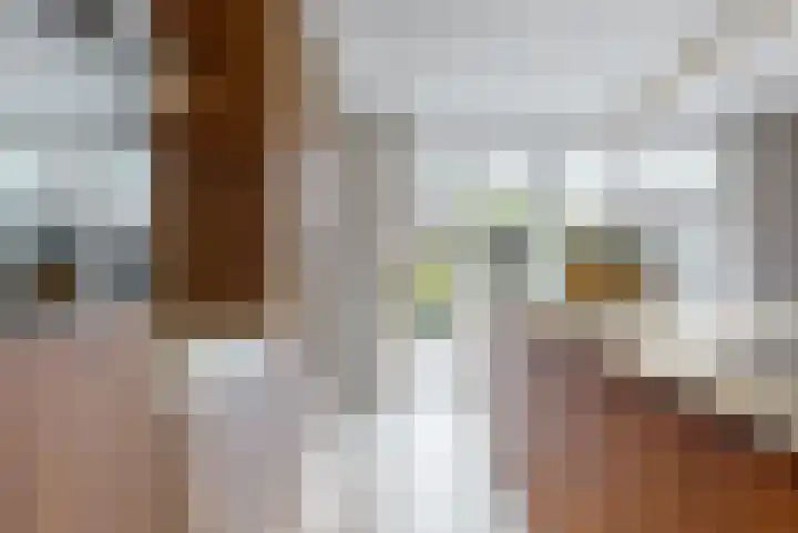 Pastoor Ammerlaanstraat 5 Blokker thumbnail 20