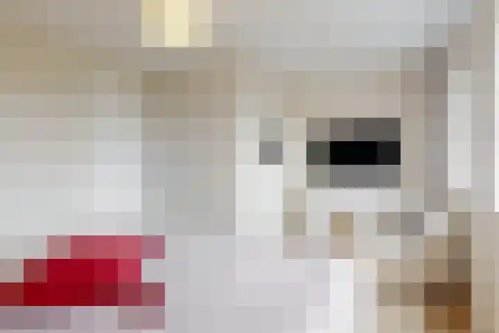Pastoor Ammerlaanstraat 5 Blokker thumbnail 25