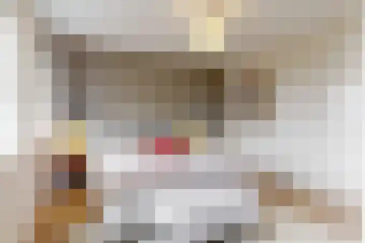 Pastoor Ammerlaanstraat 5 Blokker thumbnail 26