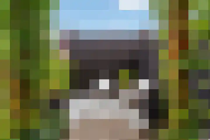 Pastoor Ammerlaanstraat 5 Blokker thumbnail 44