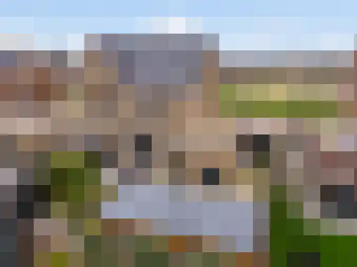Pastoor Ammerlaanstraat 5 Blokker thumbnail 51