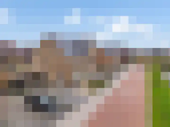 Pastoor Ammerlaanstraat 5 Blokker thumbnail 52