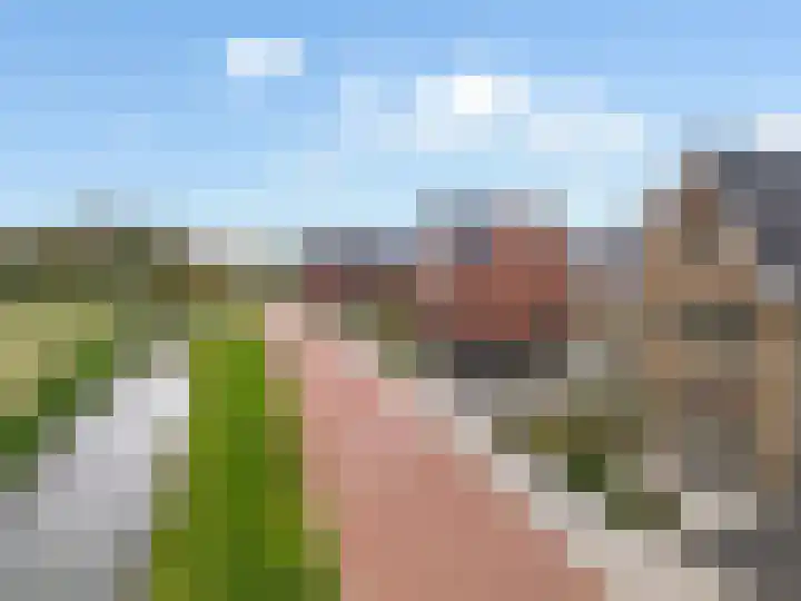 Pastoor Ammerlaanstraat 5 Blokker thumbnail 53