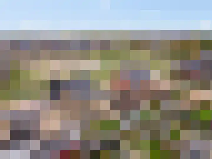 Pastoor Ammerlaanstraat 5 Blokker thumbnail 56