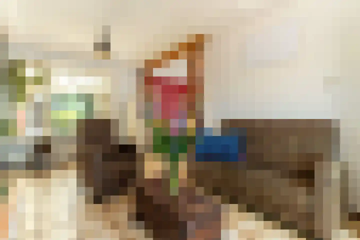 Pastoor Antoniusstraat 1 Kruisland thumbnail 10