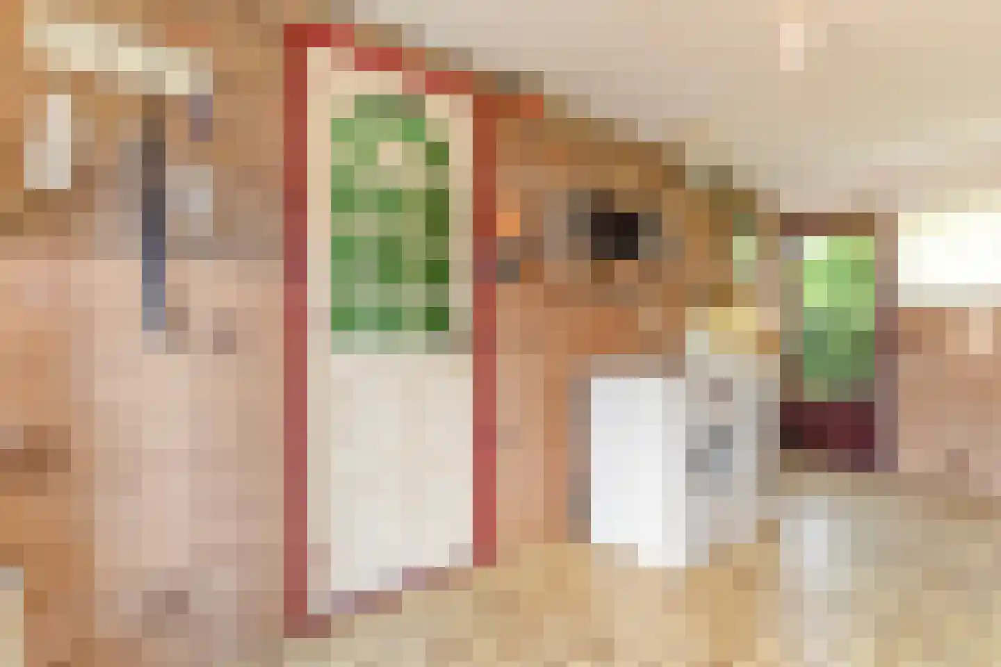 Pastoor Antoniusstraat 1 Kruisland thumbnail 18