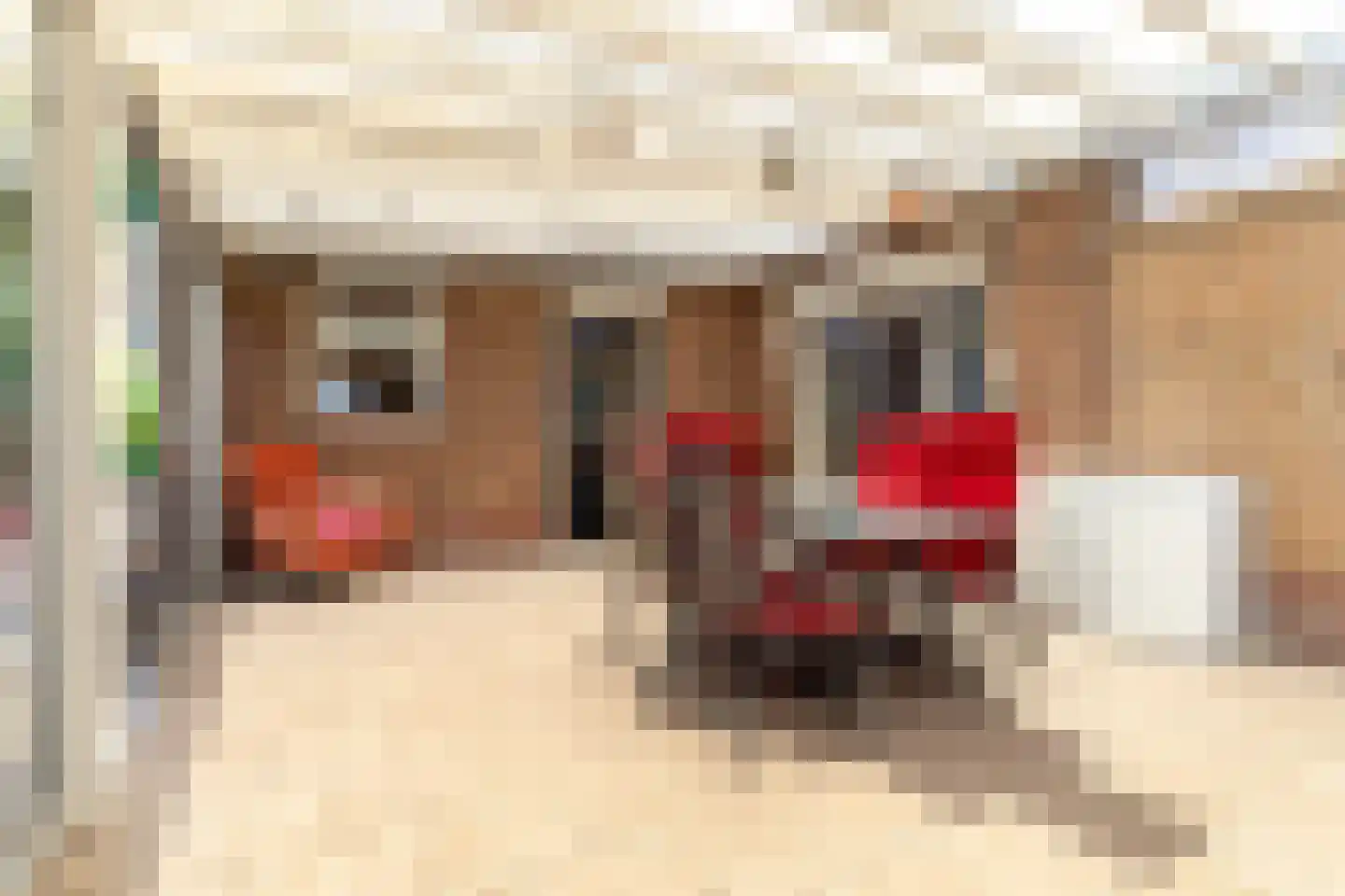 Pastoor Antoniusstraat 1 Kruisland thumbnail 20