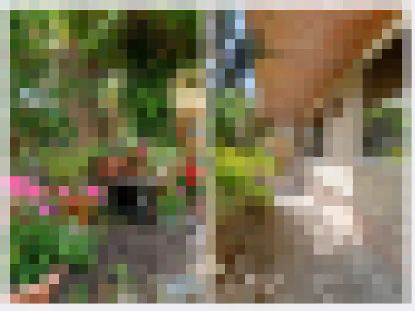 Pastoor Antoniusstraat 1 Kruisland thumbnail 40