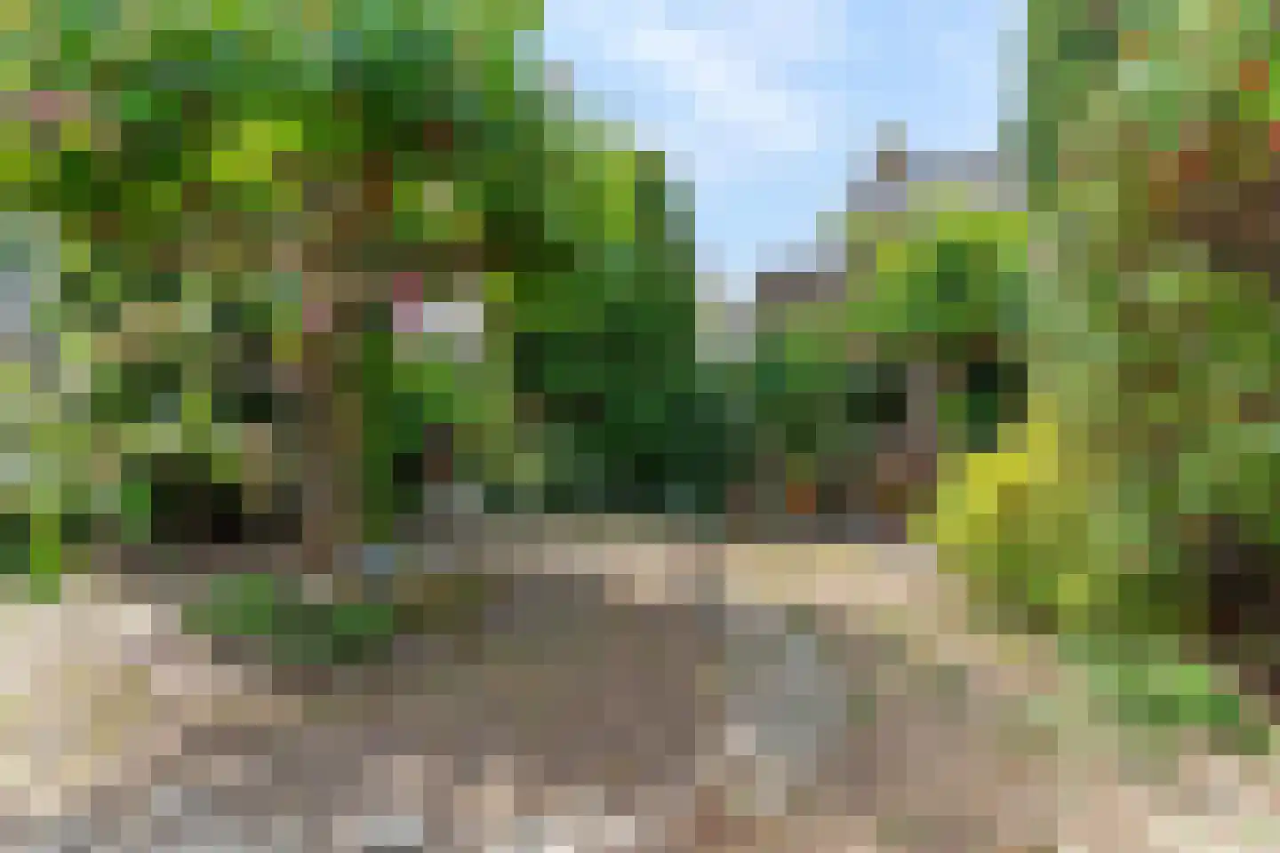 Pastoor Antoniusstraat 1 Kruisland thumbnail 42