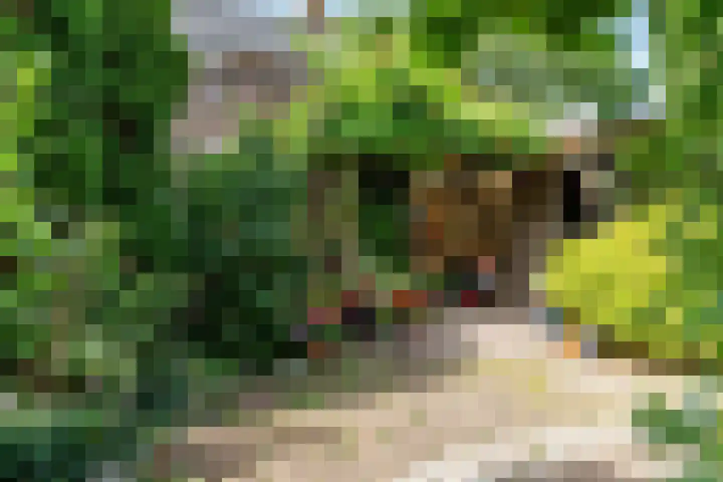 Pastoor Antoniusstraat 1 Kruisland thumbnail 43
