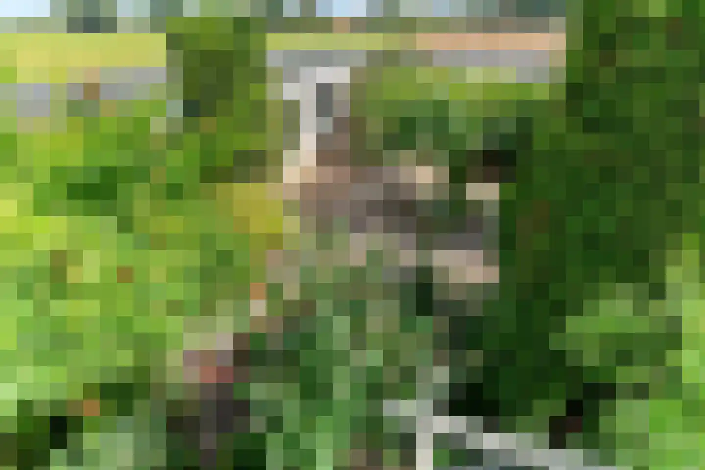 Pastoor Antoniusstraat 1 Kruisland thumbnail 44