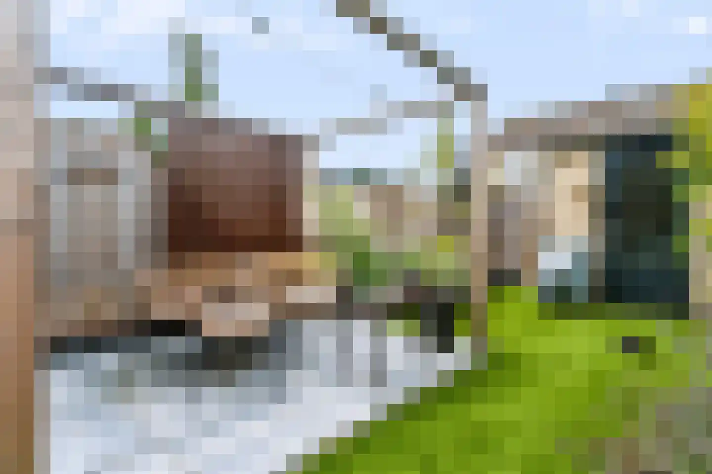 Pastoor Apeldoornpad 16 Hoogvliet Rotterdam thumbnail 18
