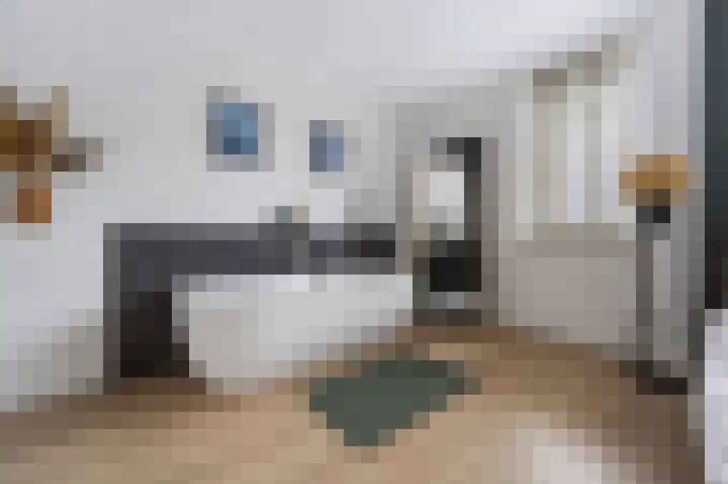 Pastoor Apeldoornpad 16 Hoogvliet Rotterdam thumbnail 26