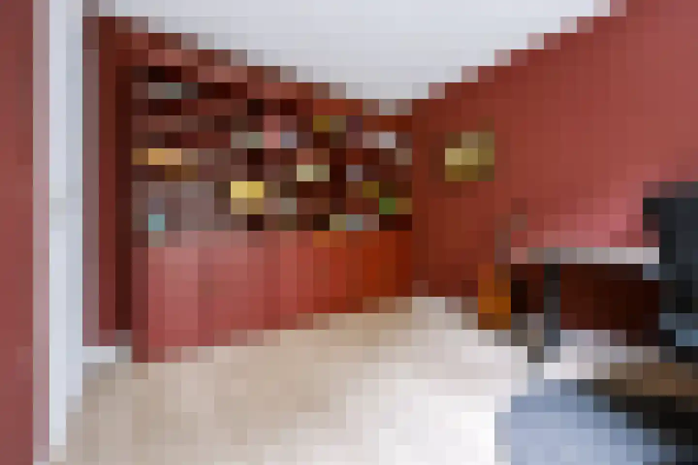 Pastoor Apeldoornpad 16 Hoogvliet Rotterdam thumbnail 28