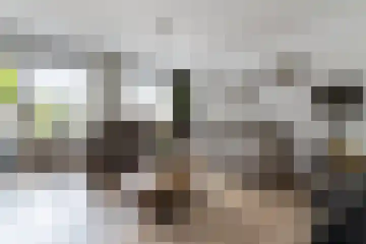 Pastoor Apeldoornpad 2 Hoogvliet Rotterdam thumbnail 10
