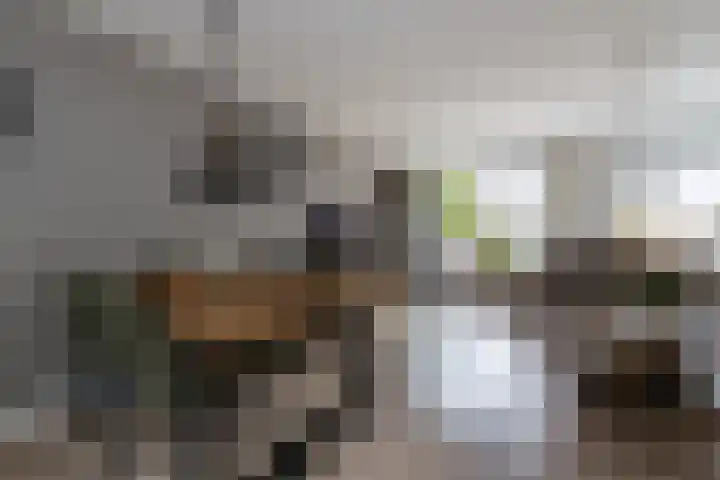 Pastoor Apeldoornpad 2 Hoogvliet Rotterdam thumbnail 12