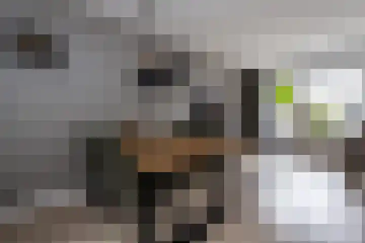 Pastoor Apeldoornpad 2 Hoogvliet Rotterdam thumbnail 14