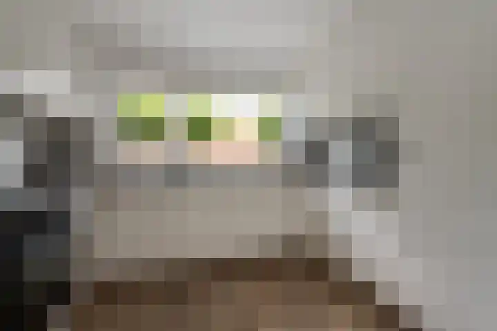 Pastoor Apeldoornpad 2 Hoogvliet Rotterdam thumbnail 16