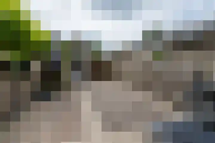 Pastoor Apeldoornpad 2 Hoogvliet Rotterdam thumbnail 20