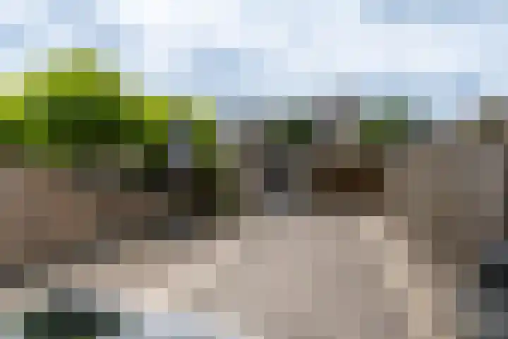Pastoor Apeldoornpad 2 Hoogvliet Rotterdam thumbnail 21