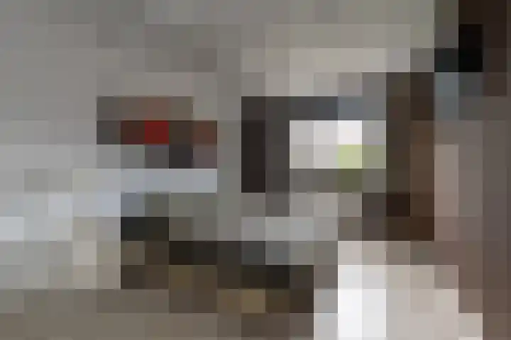 Pastoor Apeldoornpad 2 Hoogvliet Rotterdam thumbnail 23