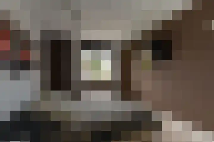 Pastoor Apeldoornpad 2 Hoogvliet Rotterdam thumbnail 24