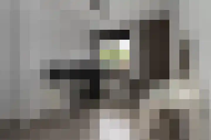 Pastoor Apeldoornpad 2 Hoogvliet Rotterdam thumbnail 28