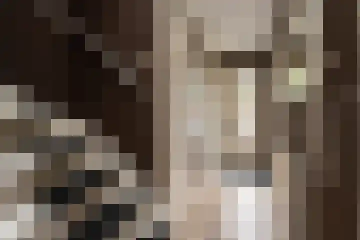 Pastoor Apeldoornpad 2 Hoogvliet Rotterdam thumbnail 7