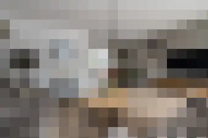 Pastoor Apeldoornpad 2 Hoogvliet Rotterdam thumbnail 8