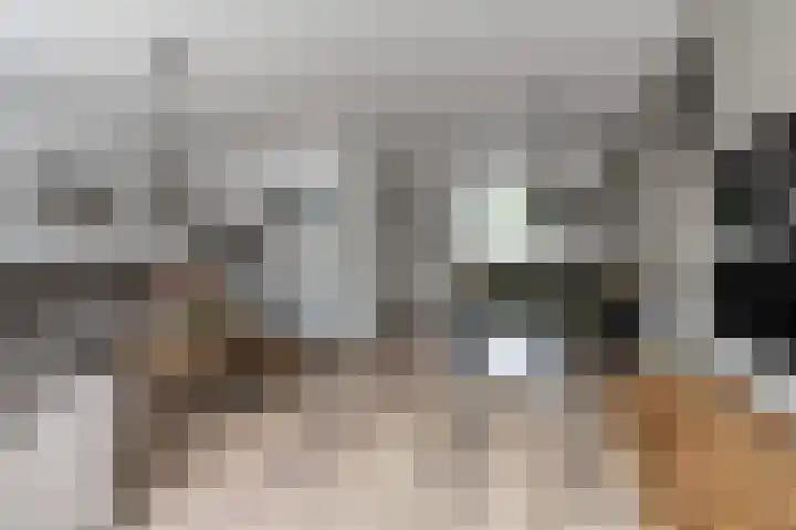 Pastoor Apeldoornpad 2 Hoogvliet Rotterdam thumbnail 9