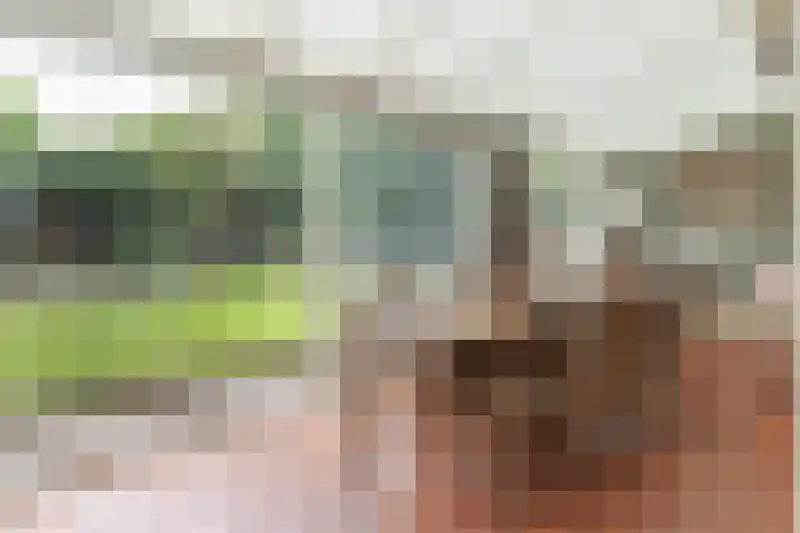Pastoor Arnold Somyasingel 1 Meerssen thumbnail 10