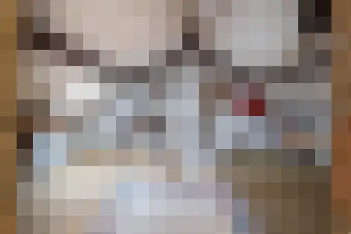 Pastoor Arnold Somyasingel 1 Meerssen thumbnail 21