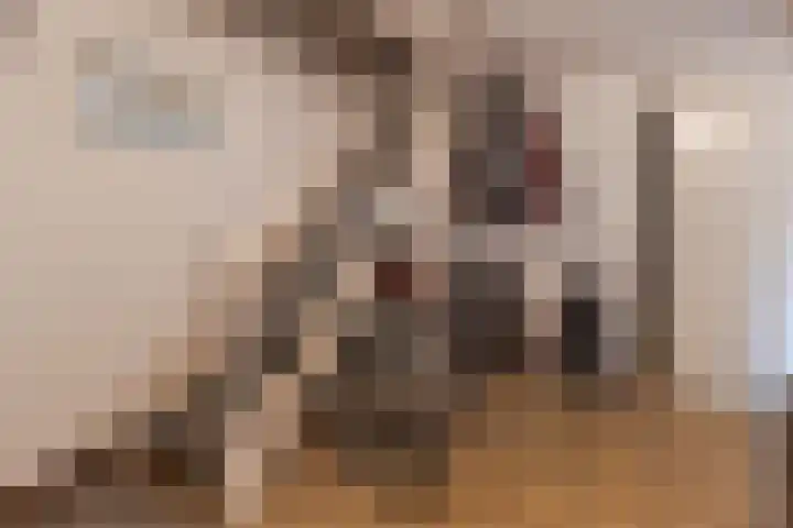 Pastoor Arnold Somyasingel 1 Meerssen thumbnail 22