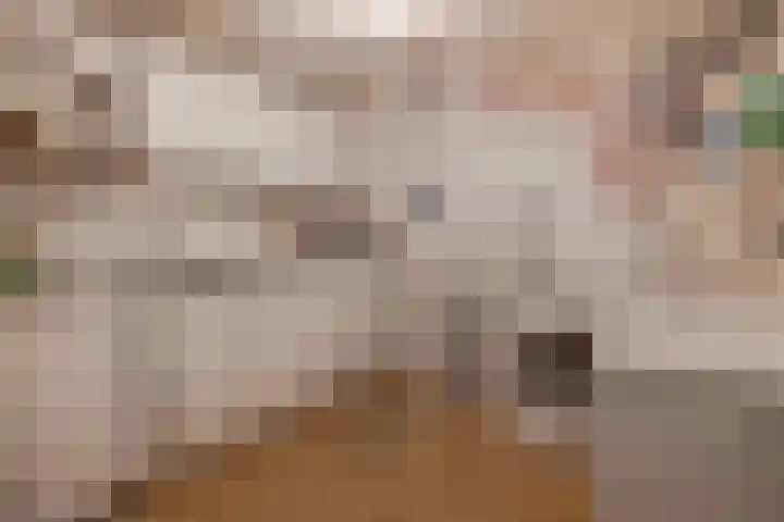 Pastoor Arnold Somyasingel 1 Meerssen thumbnail 23