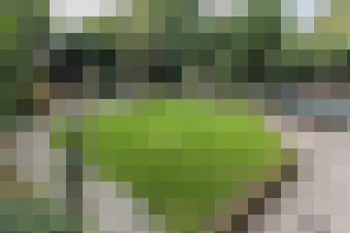 Pastoor Arnold Somyasingel 1 Meerssen thumbnail 25