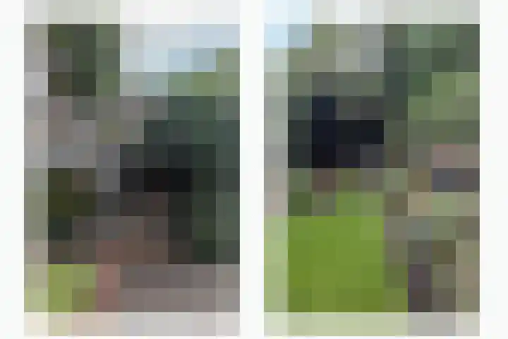 Pastoor Arnold Somyasingel 1 Meerssen thumbnail 27