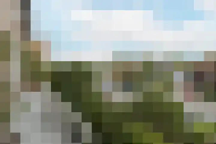 Pastoor Arnold Somyasingel 1 Meerssen thumbnail 29