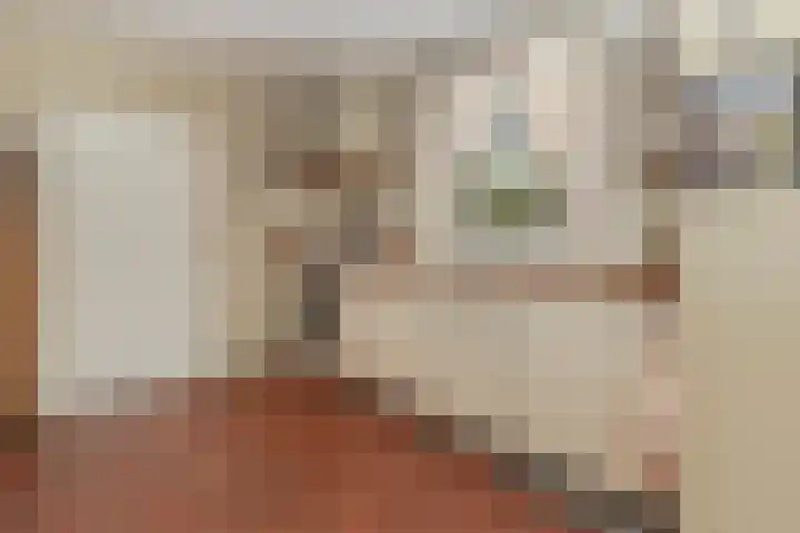 Pastoor Arnold Somyasingel 1 Meerssen thumbnail 8