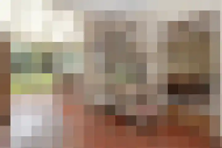 Pastoor Arnold Somyasingel 1 Meerssen thumbnail 9