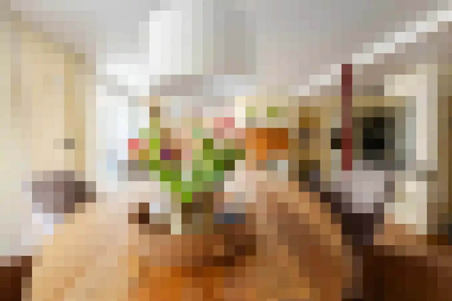 Pastoor Arnold Somyasingel 14 Meerssen thumbnail 10