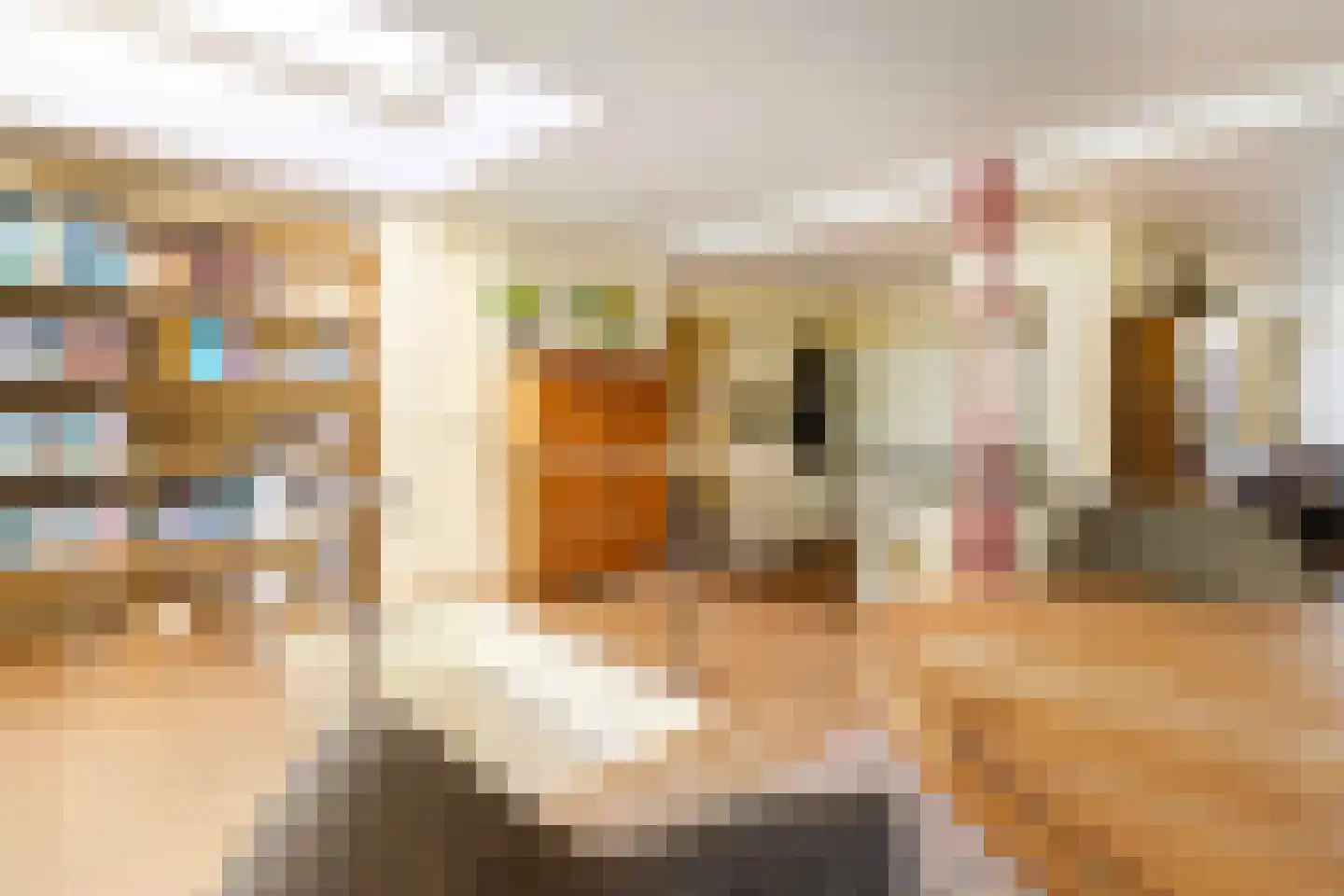 Pastoor Arnold Somyasingel 14 Meerssen thumbnail 12