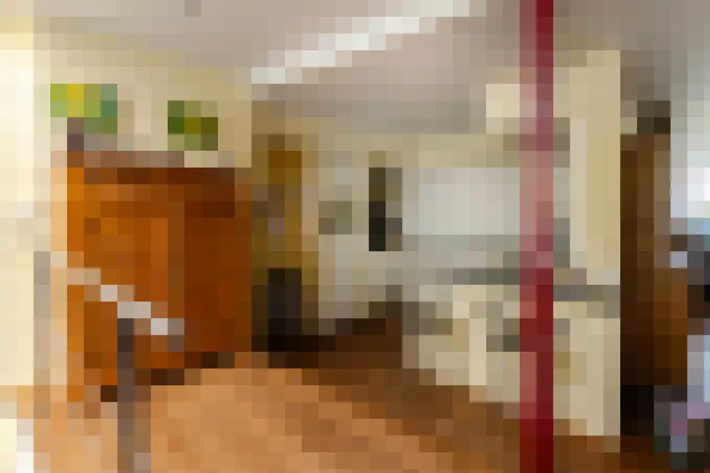Pastoor Arnold Somyasingel 14 Meerssen thumbnail 13