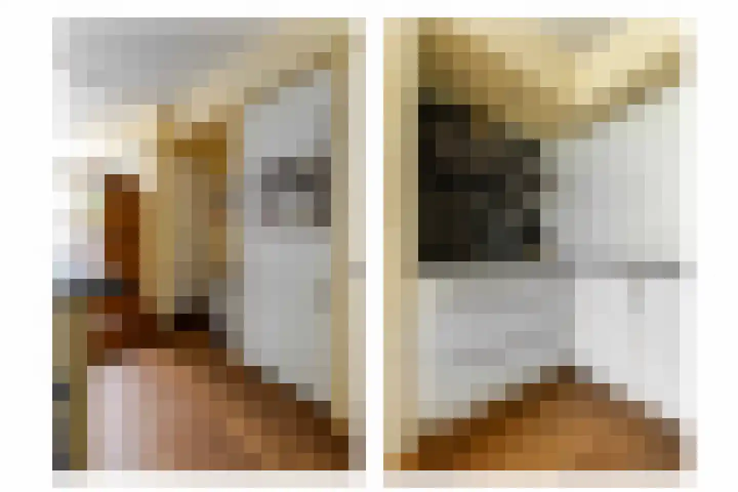 Pastoor Arnold Somyasingel 14 Meerssen thumbnail 15