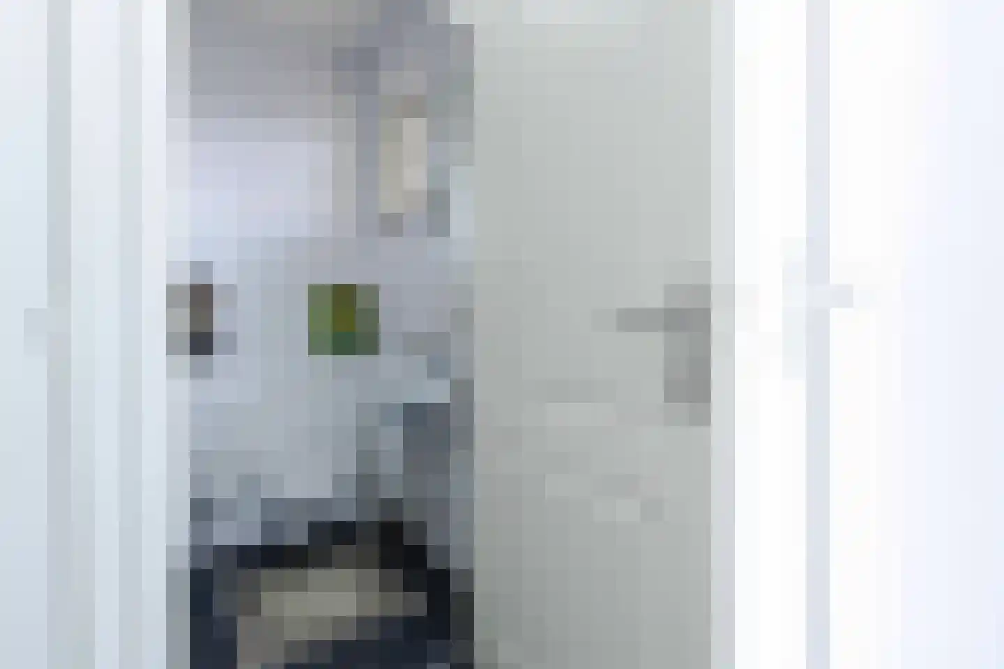 Pastoor Arnold Somyasingel 14 Meerssen thumbnail 17