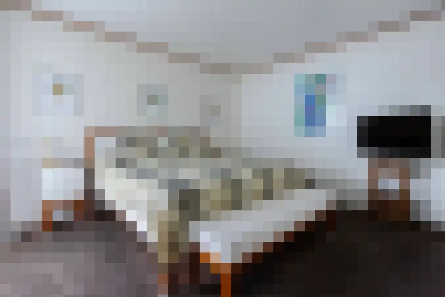 Pastoor Arnold Somyasingel 14 Meerssen thumbnail 18